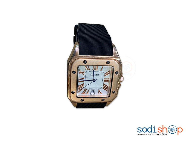 cartier montres santos
