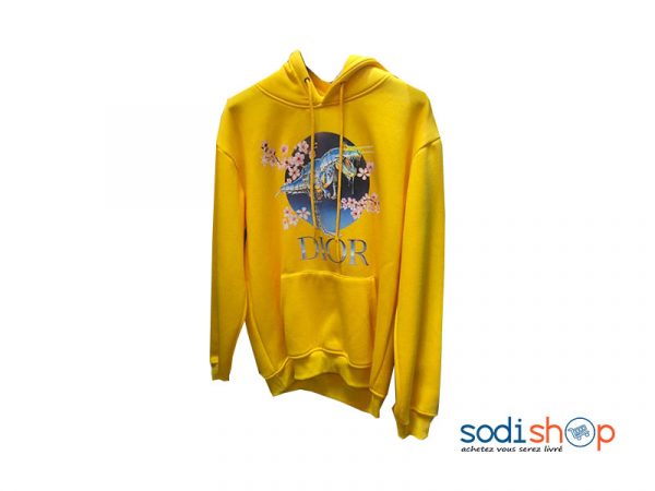pull dior capuche