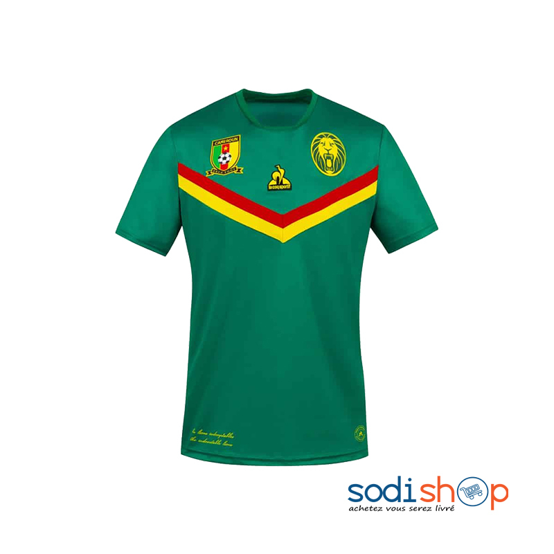 Equipe Nationale du Cameroun - Maillot de Football Domicile 2020