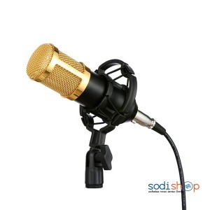Microphone Sans Fil Shure SM58 - Ultra Performant AN0051 - Sodishop