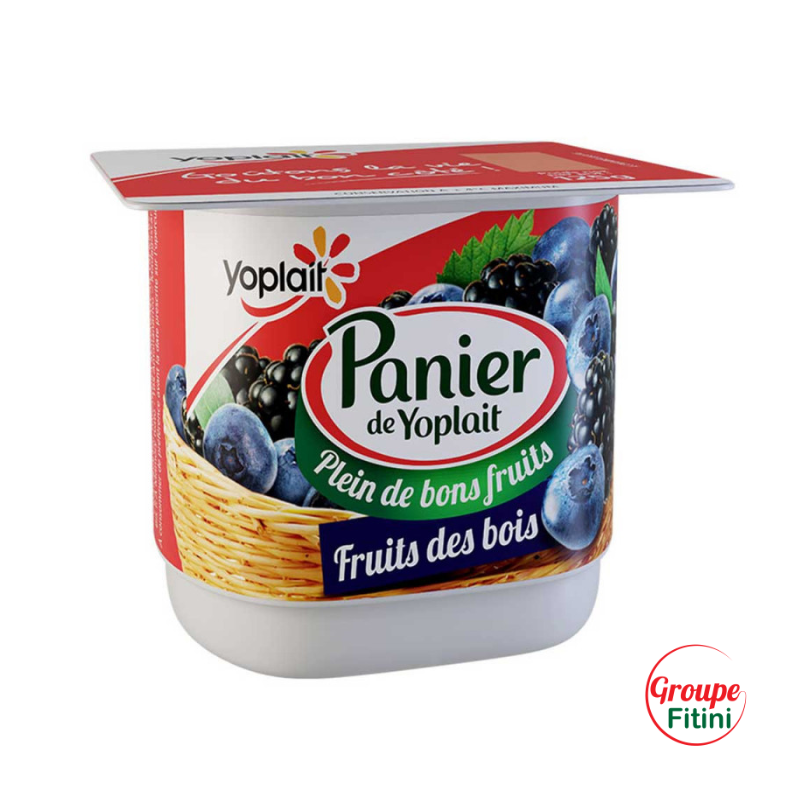 YAOURT AROMATISE FRUITS DES BOIS 125G YOPLAIT- FTM00228