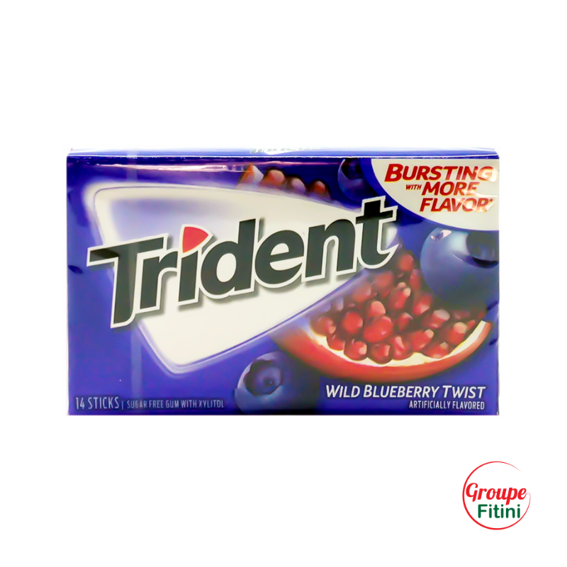 CHEWING-GUM SANS SUCRES WILD BLUEBERRY TWIST TRIDENT FTM00228