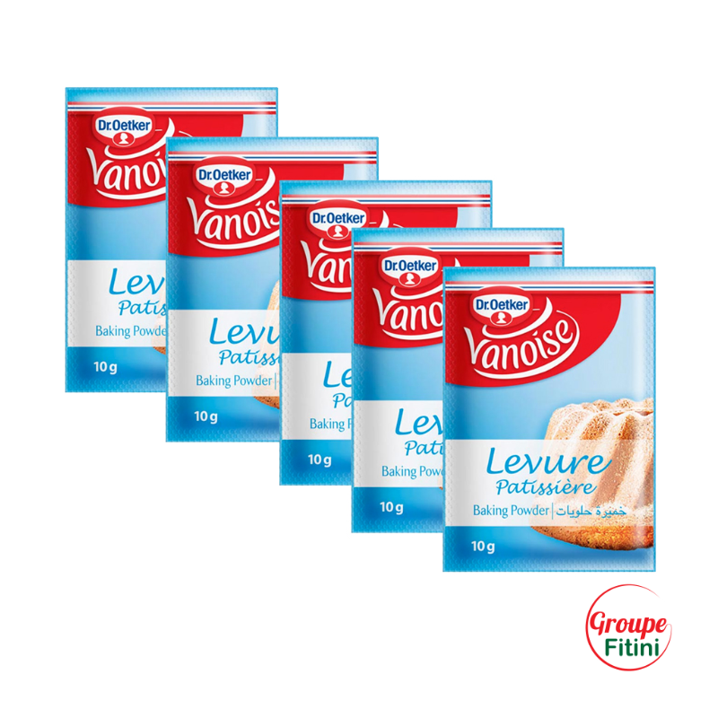 LEVURE PATISSIERE X5 VANOISE DR OETKER FTM00228